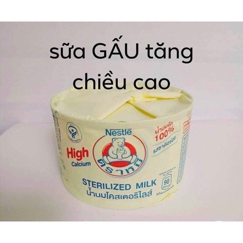 Lốc 12h Sữa Gấu Nestle Thái hộp 140ml date 04/2024