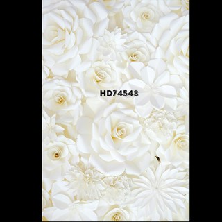 PHÔNG NỀN CHỤP ẢNH - LIVESTREAM 3D