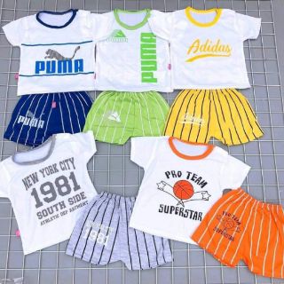 Combo 5bô hình thú ngộ nghĩnh