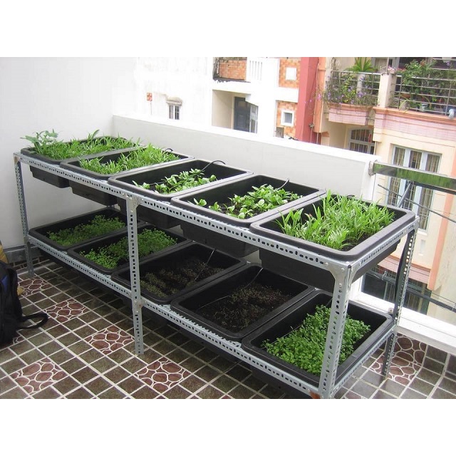Khung kệ sắt trồng rau sạch 2 tầng dùng cho 10 khay trồng rau dùng cho khay 68x43cm