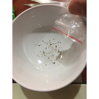10 hạt Sung Mỹ siêu ngọt