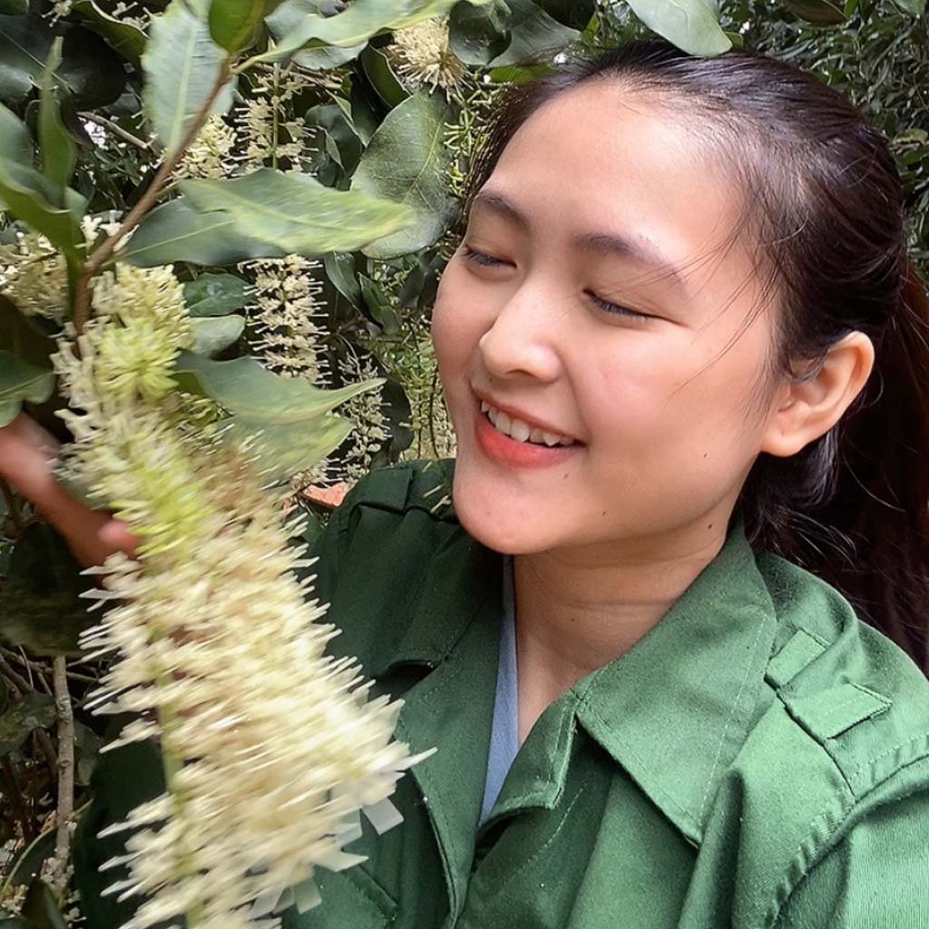 Hạt Macca nứt vỏ Organic Daklak giòn tan không hôi dầu kèm tách vỏ túi zip 1kg từ mắc ca Trang Ở Daklak