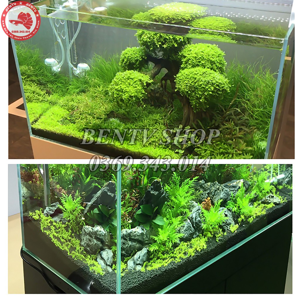 Phân Nền Thủy Sinh Aquarium Function Soil - Phân Nền Sản Xuất Tại Nhật (8L)