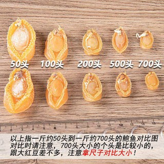 Bào ngư khô HK - 100g ( tầm 8 10 con )