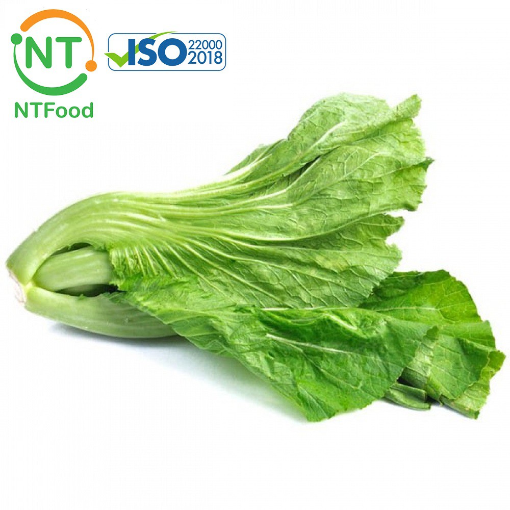 [HCM] Cải dưa Đà Lạt NTFood - tươi ngon mỗi ngày - Nhất Tín Food