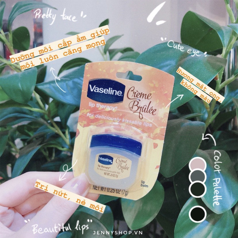 Dưỡng Môi Vaseline Lip Therapy | BigBuy360 - bigbuy360.vn
