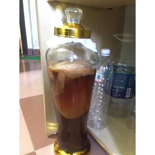 Combo 4 chai Trà Kombucha F1