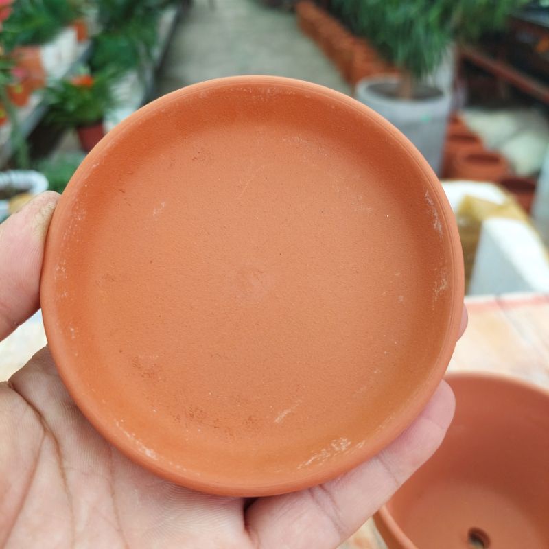 Chậu đất nung, Chậu sen đá - Dĩa lót chậu, miệng dĩa 9cm, dáy dĩa 8cm