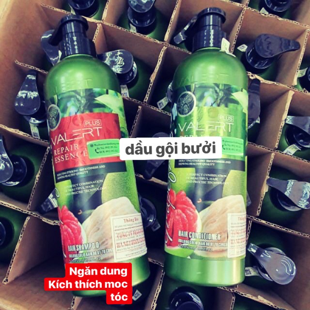 Dầu gội +xả bưởi LERT plus850m nguyên chất vỏ bưởi là dòng dầu gội ngăn rụng kích thích mọc tóc làm dầy tóc