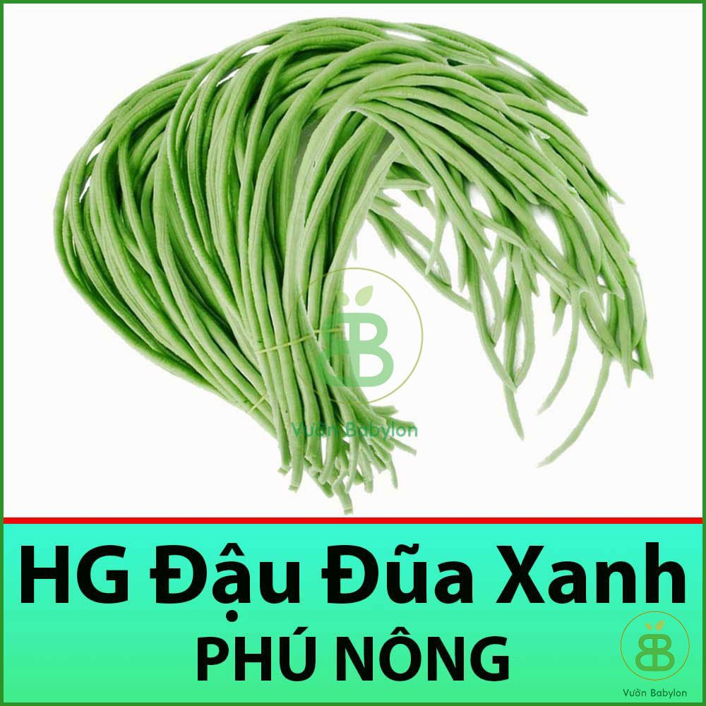 Hạt Giống Đậu Đũa Xanh Ngọt, Cao Sản 10gam