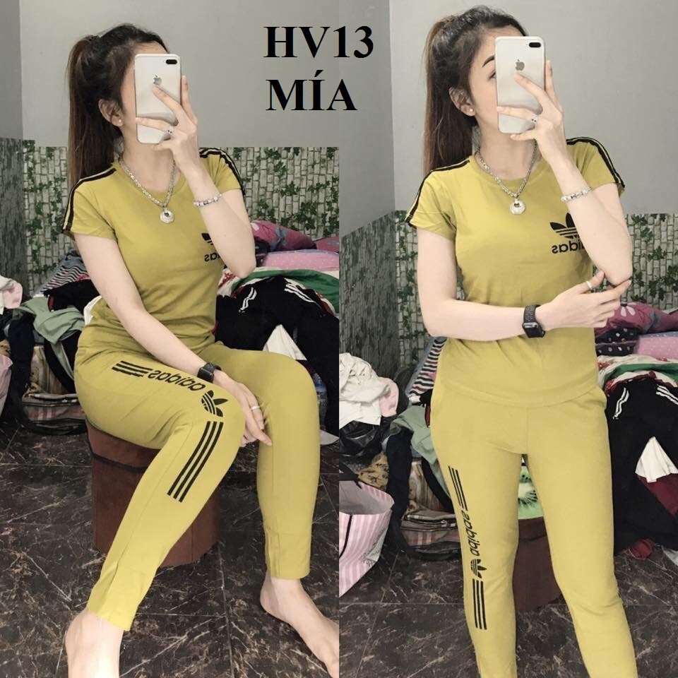 [KHUYẾN MÃI] Đồ bộ nữ mặc nhà thun cotton co giãn 4 chiều | BigBuy360 - bigbuy360.vn