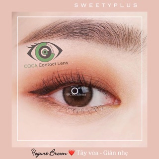 Lens nâu tây vừa YOGURT