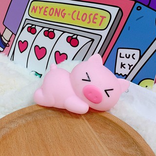 Chút chít heo nằm ngủ (7)