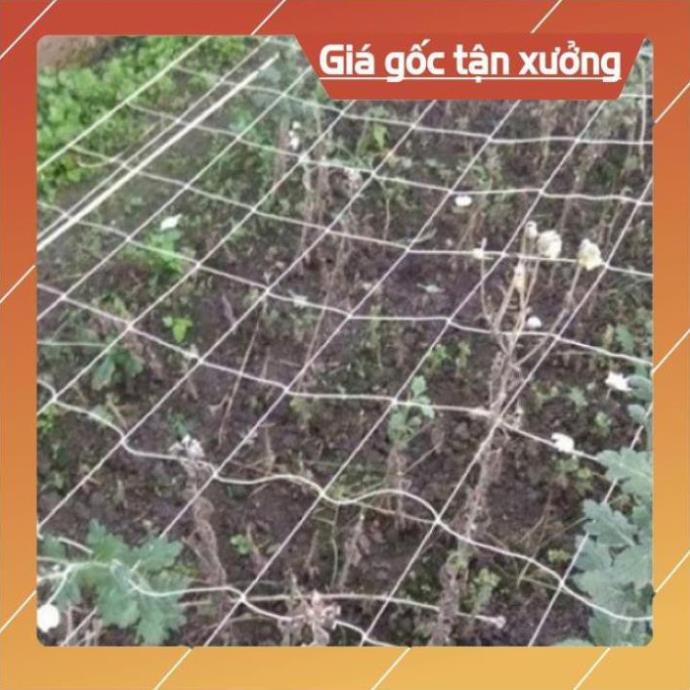 [ Hàng Gia Công Bền loại 1 ] Lưới Cước Leo Giàn Bí Bầu Dưa Mướp Và Trang Trí Rộng 2M Dài Tùy Ý , bảo hành 1 năm