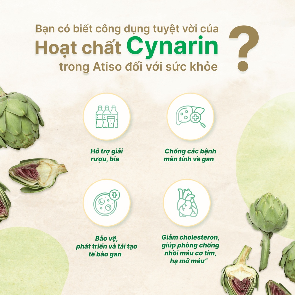Trà atiso túi lọc Ngọc Duy Đà Lạt xuất Hàn 100% atiso thanh nhiệt, bảo vệ gan, đẹp da, ngừa mụn, dễ ngủ