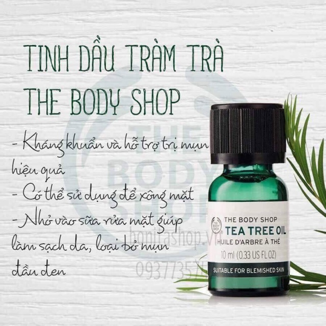 TEA TREE OIL THE BODY SHOP