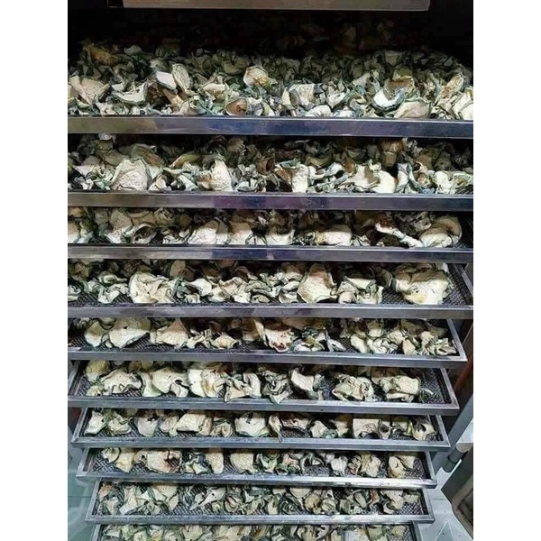 Trà bí đao sấy khô hàng xanh đẹp vip 1 kg