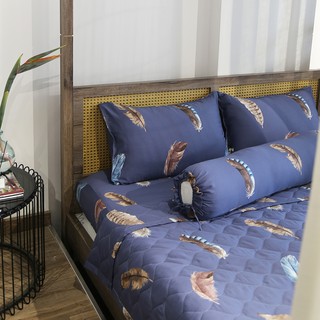 [GA GIƯỜNG] Bộ chăn ga gối drap trải giường set 5 món cotton lụa Hàn Quốc