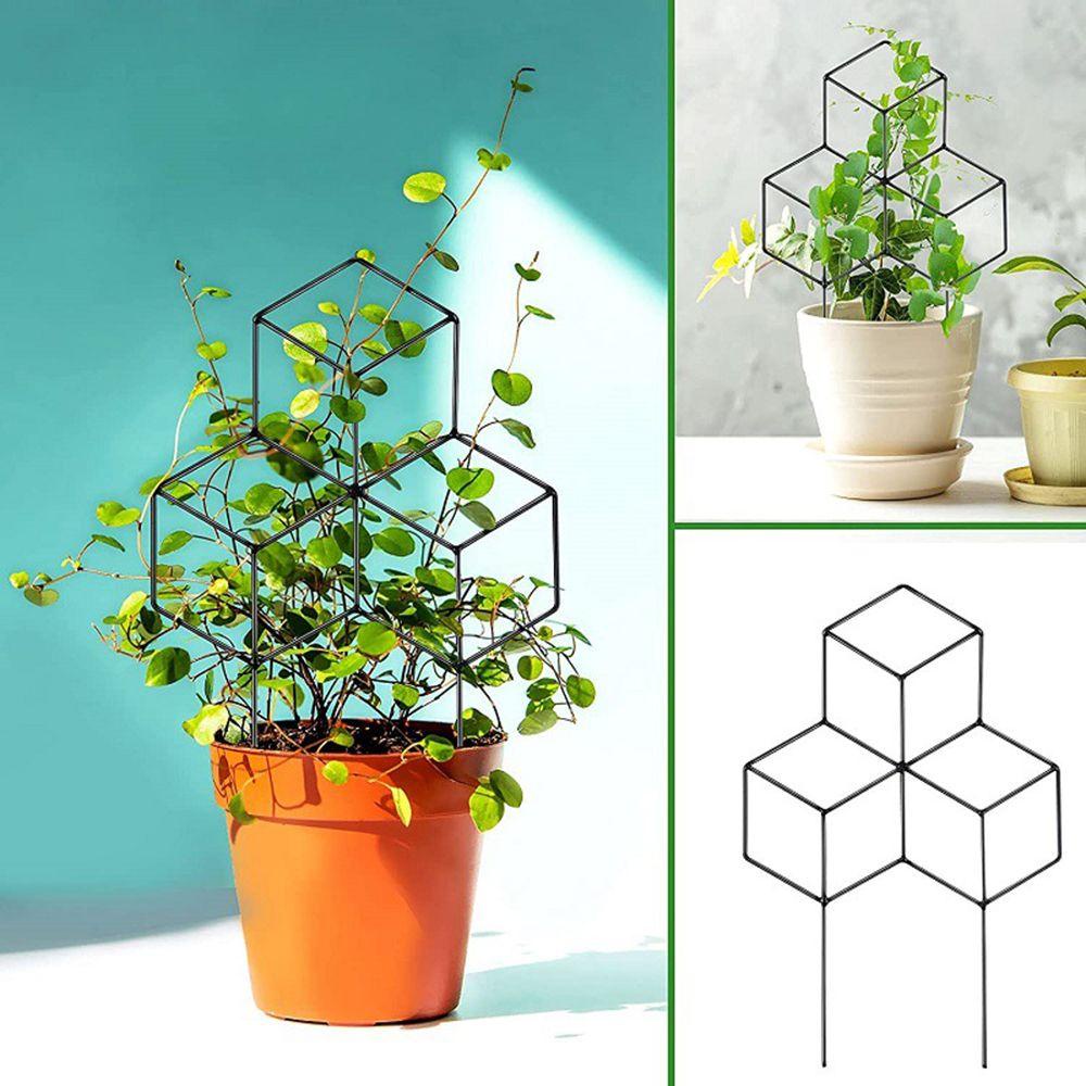 Giá Đỡ Cây Dây Leo Dùng Trang Trí Sân Vườn