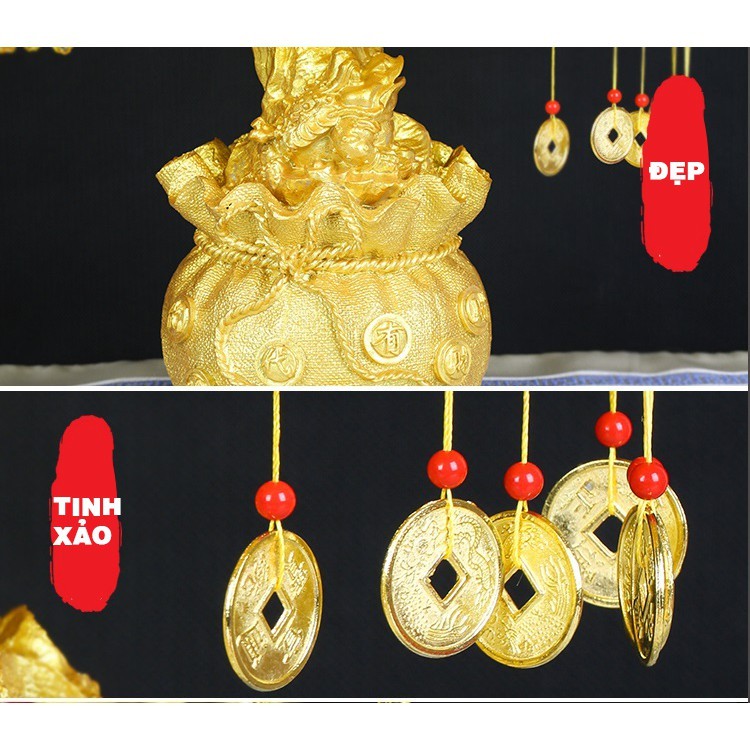 Cây kim tiền phát tài, phát lộc đế túi tiền 7 cành trang trí trong nhà ngày tết hàng đẹp