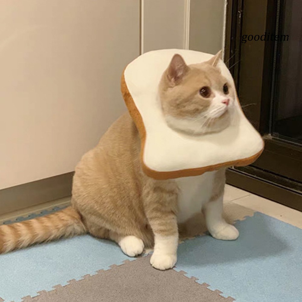 Vòng đeo cổ thiết kế hình lát bánh mì đáng yêu dành cho thú cưng