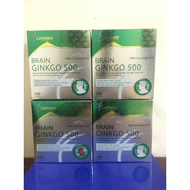 BRAIN Ginkgo 500-Giúp Hoạt Huyết, Tăng Cường Lưu Thông Máu