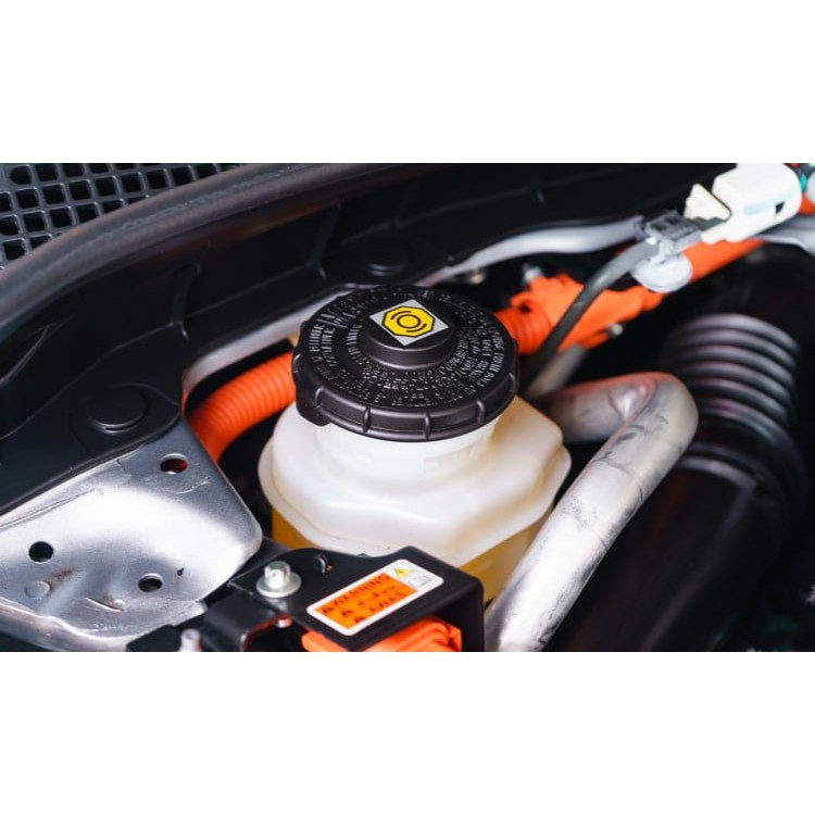 [DẦU PHANH SHELL] SHELL BRAKE &amp; CLUTCH FLUID DOT 3 1L