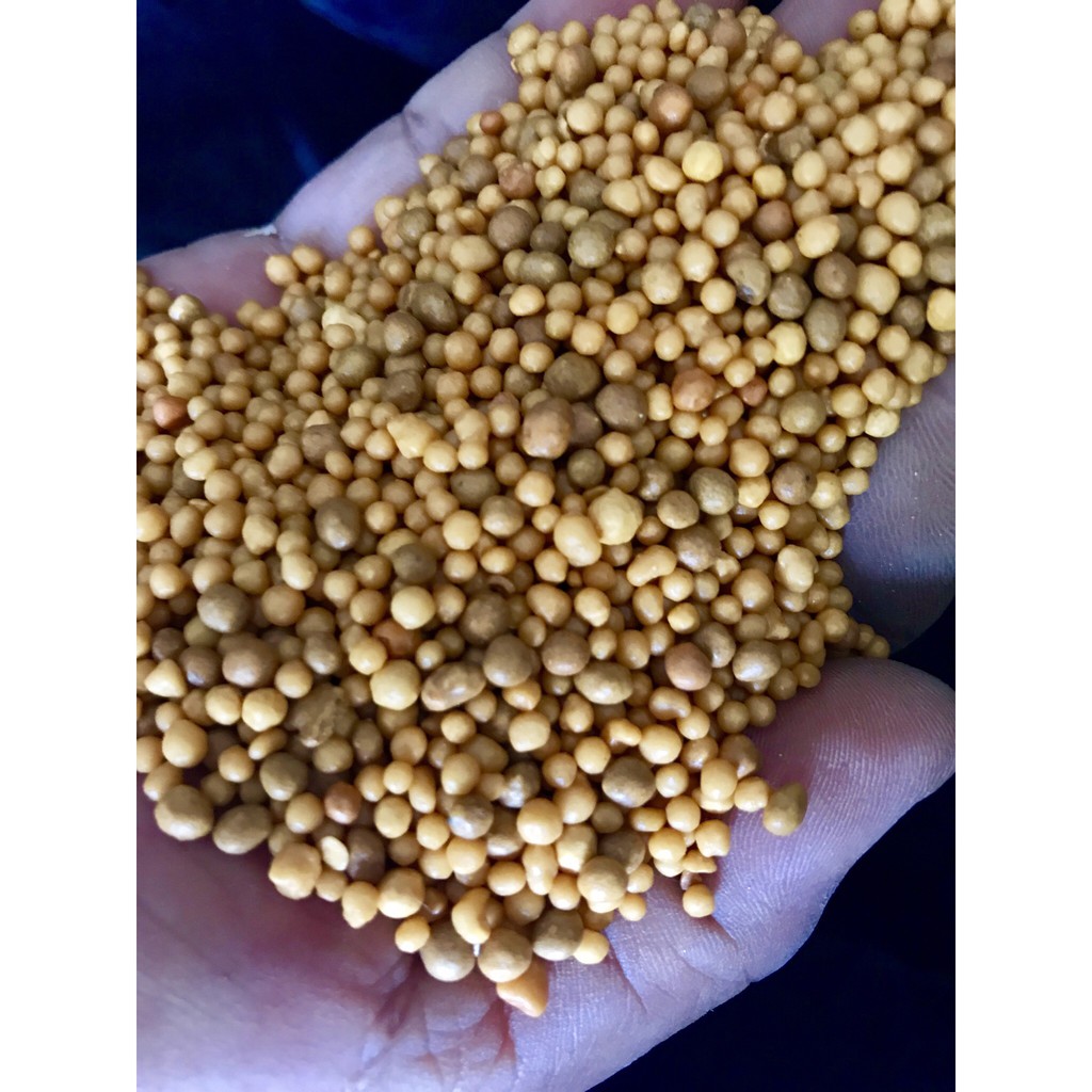 Phân Vàng Tan Chậm Dinh Dưỡng Kích Hoa Thailand Túi Chiết 500g