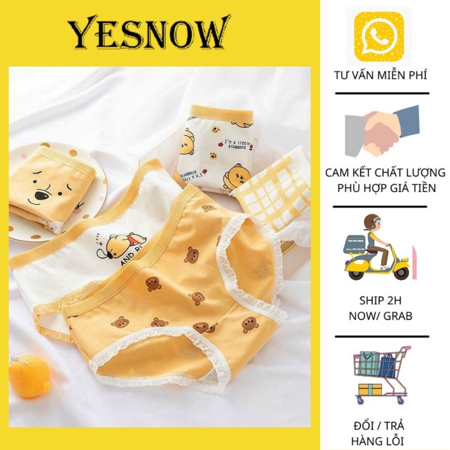 Quần lót cotton hình gấu cute - chất đẹp sáng màu