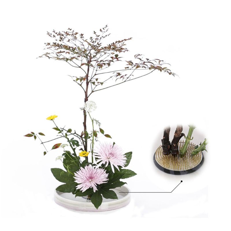 Bàn chông dùng cho cắm hoa nghệ thuật có vòng đệm cao su Ikebana