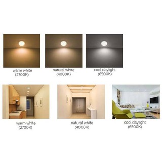 Đèn downlight led MESON 59444 6W D80 PHILIPS