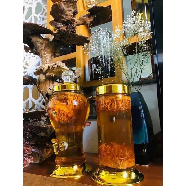 Đông Trùng hạ thảo hàng Việt Nam chất lượng cao 500gr