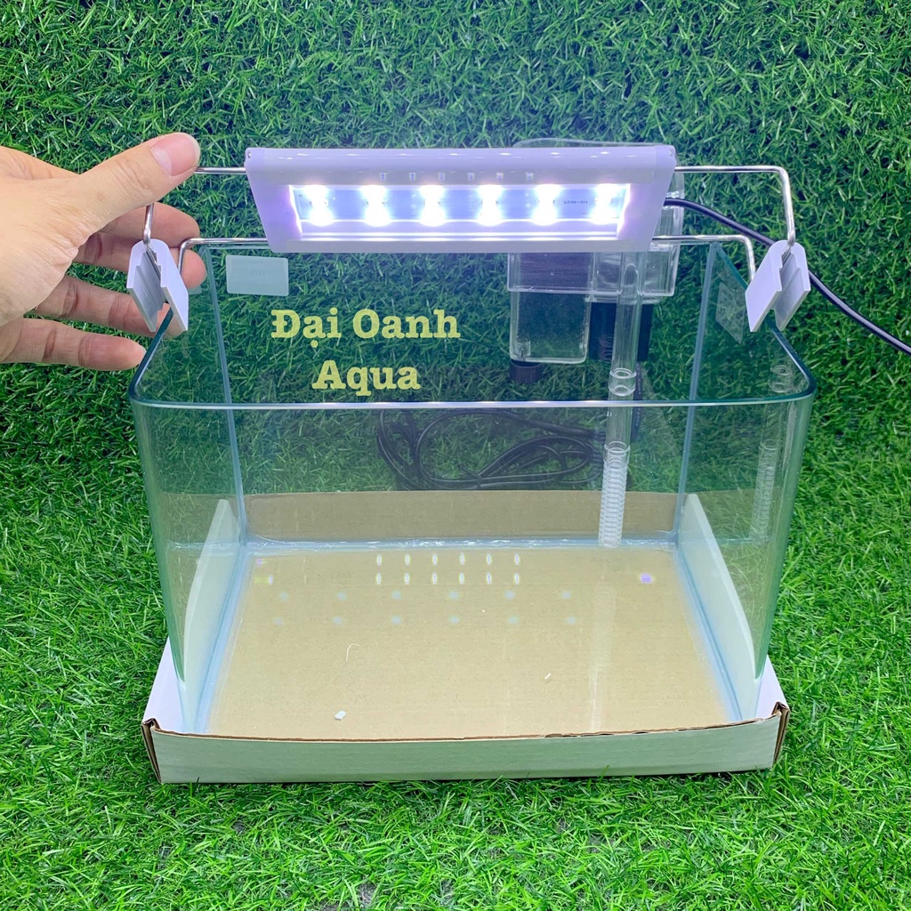 Bể Cá Kính Đúc Mini 25cm Kèm Đèn Lọc Để Bàn, Dài 25cm Rộng 16 Cao 18cm - Bể Cá Cảnh Mini