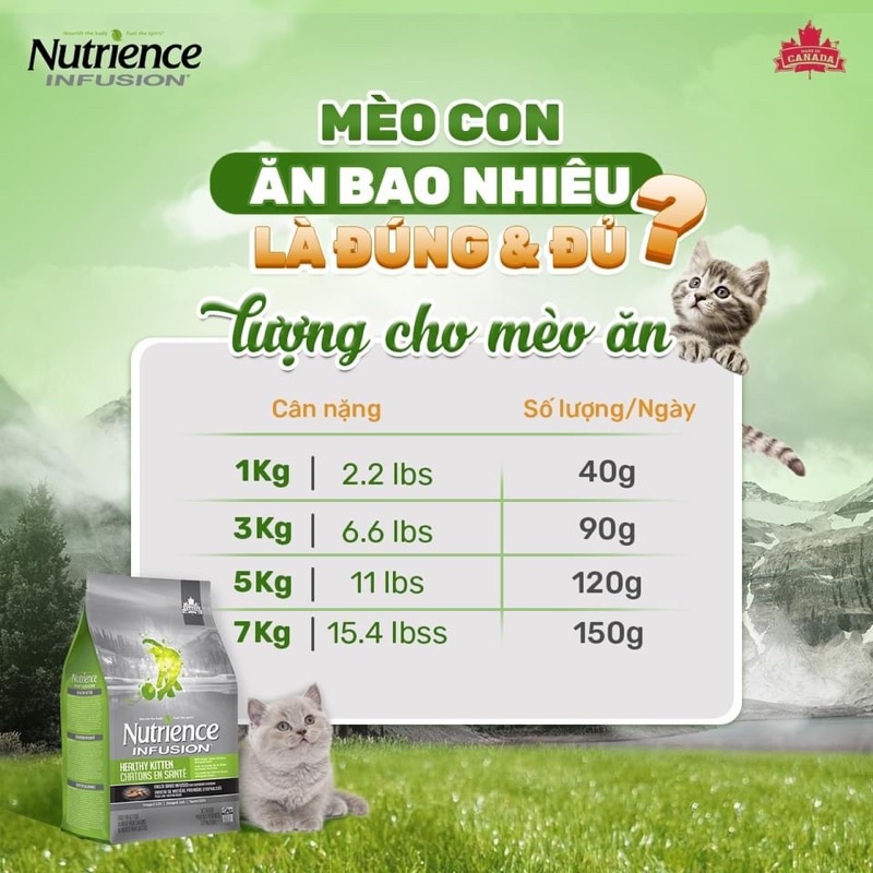 NUTRIENCE INFUSION INDOOR - HẠT THỨC ĂN CAO CẤP CHO MÈO TỪ CANADA