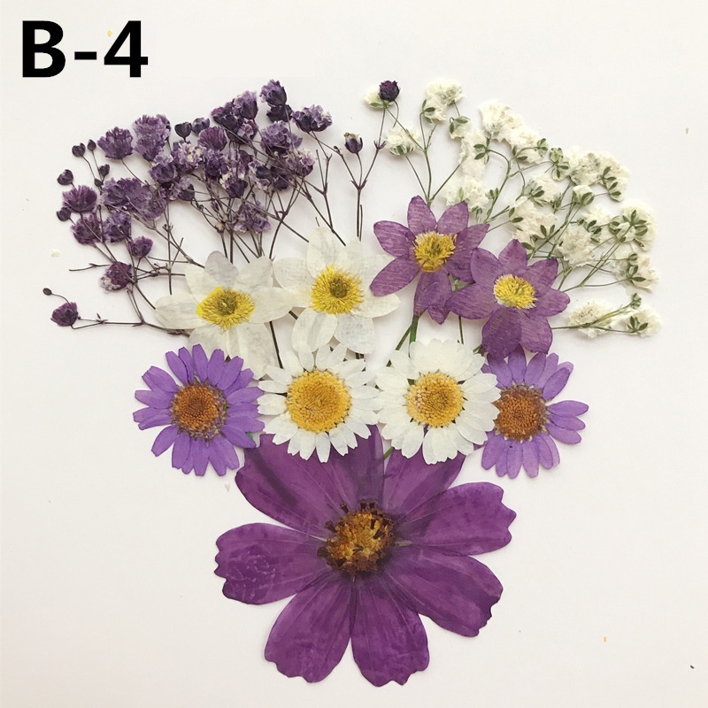 Set Hoa Ép Khô Hỗn Hợp Theo Tông Màu Làm Trang Trí Nến Thơm, Handmade