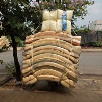 Nệm cao su non 1m6x2mx10cm
