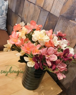 Hoa Giả - Huệ Tây Tứ Diện