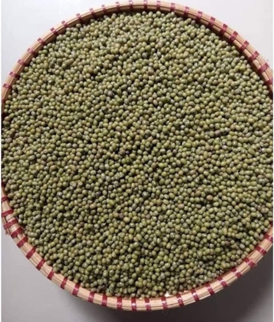 Đỗ Xanh Hạt Quê làm giá đỗ, nấu chè