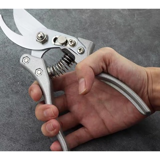KÉO CẮT CÀNH SK5