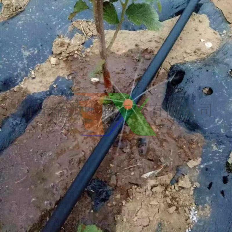 Bộ 2 Khởi thủy TKR-1216T Ren trong 21 ra ống Φ16 mm, Khởi thủy cho dây PVC PE HDPE LDPE