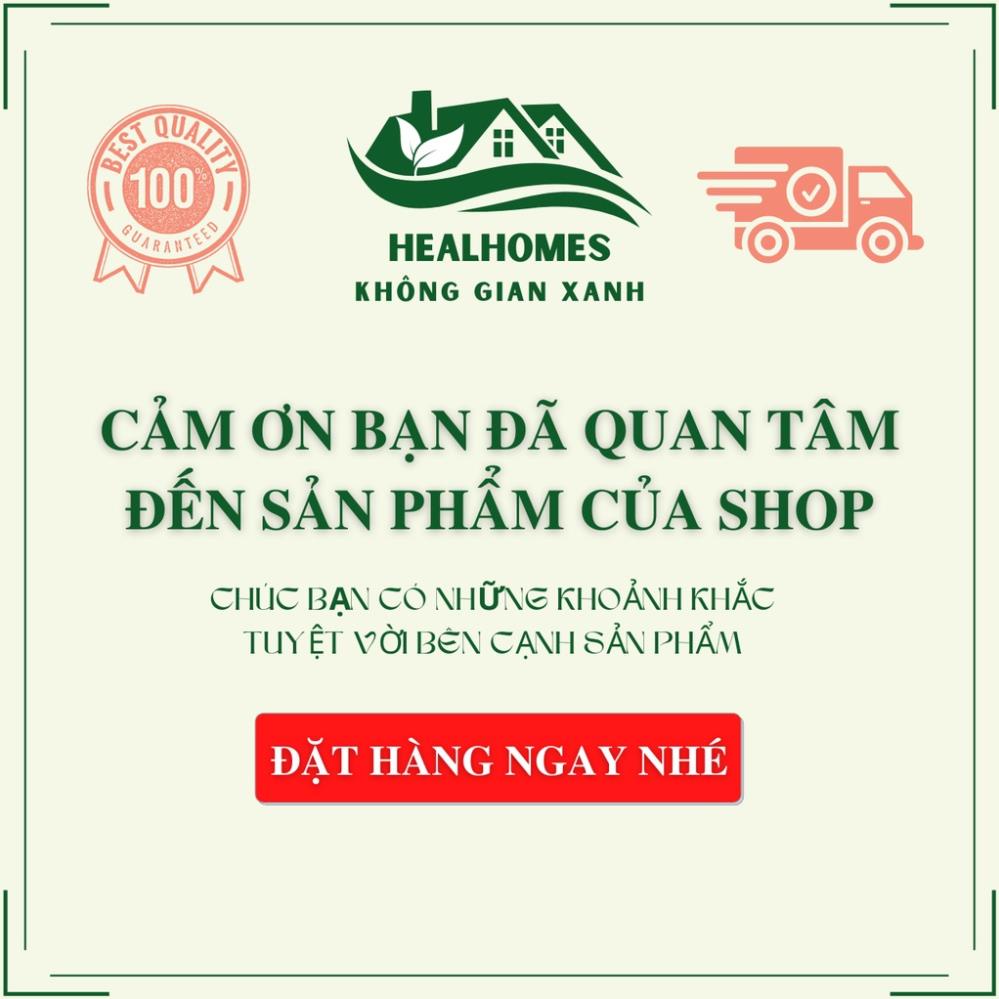 Ghế lười thư giãn Papasan 1m2 mây phòng ngủ cho bé, decor ban công nằm thư giãn, trang trí phòng khách vip / HealHomes