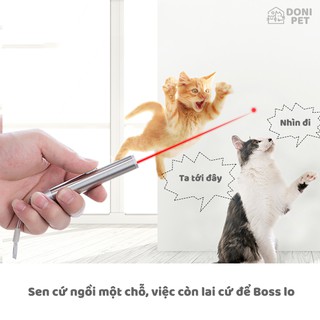 Đồ chơi đèn laser (laze) cho mèo nô đùa