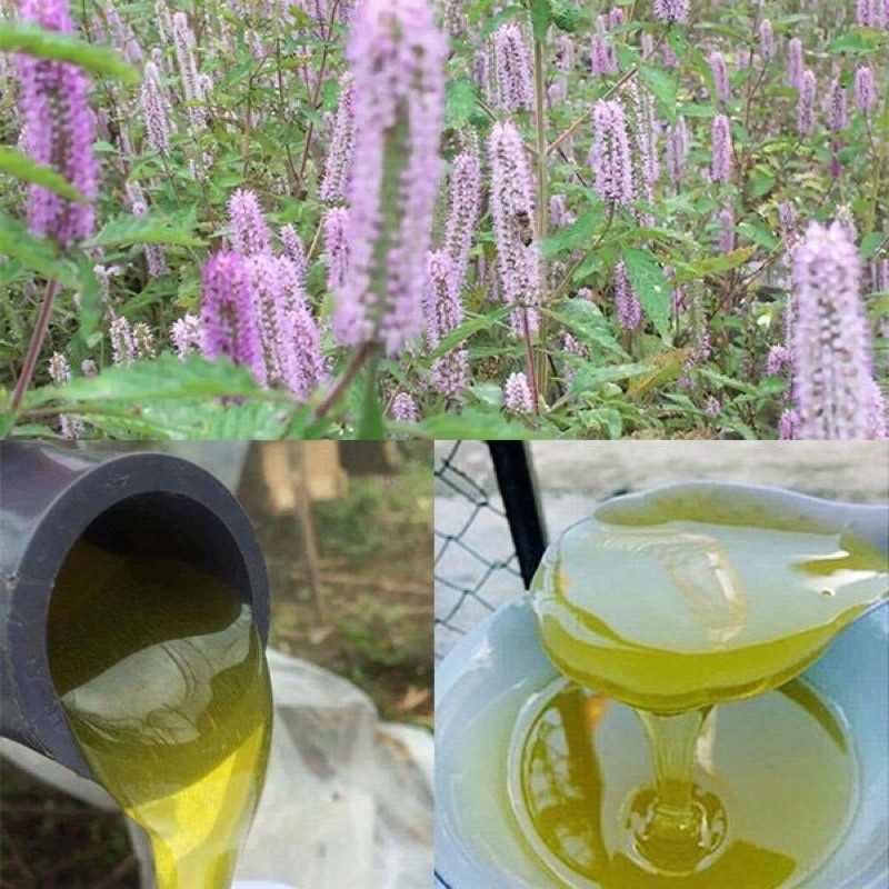 1 lít mật ong bạc hà nguyên chất