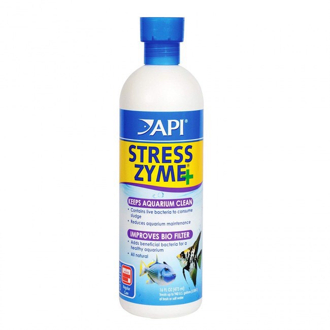 VI SINH SỐNG CAO CẤP API STRESS ZYME+