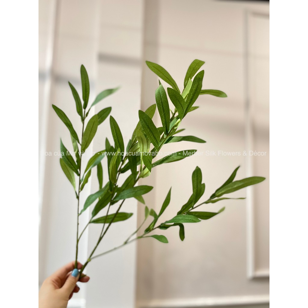 Cành Lá Oliu Giả Cao Cấp Merber (Mơ &amp; Bơ) Loại 6 Nhánh 90cm Màu Kem/Xanh/Xanh Mint - Cành Ô Liu Khô Trang Trí Decor Nhà