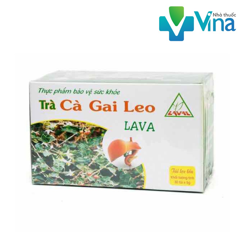 Trà cà gai leo lava túi lọc - 30 túi.5gram