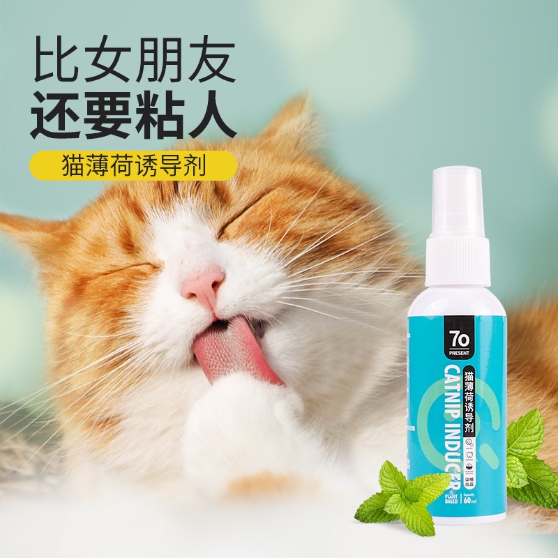 Xịt catnip cho mèo tinh chất cỏ bạc hà mèo tạo cảm giác hưng phấn đồ chơi cho mèo - 50ml - Laila Petshop