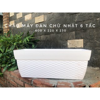 Chậu nhựa mây đan chữ nhật 420