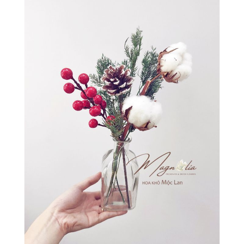 Set lọ hoa khô thủy tinh decor trang trí Giáng Sinh Noel Chirstmas