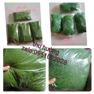 Rêu bột, rêu sợi